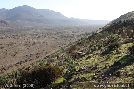 Valle R�o de Los Choros