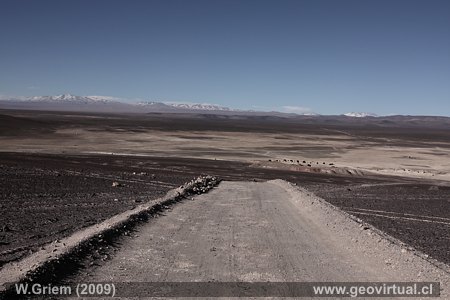 Desierto de Atacama cerca de Taltal - Entrada a la oficina  Catalina Sur