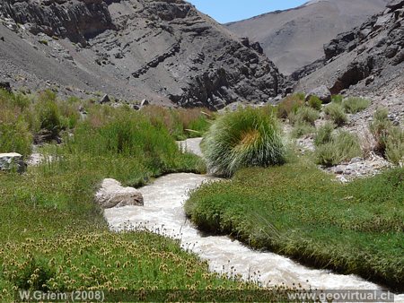 Oase am Turbio Fluss - in den Hochanden der Atacama Region