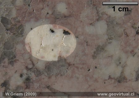 Plagioclasa en un granito
