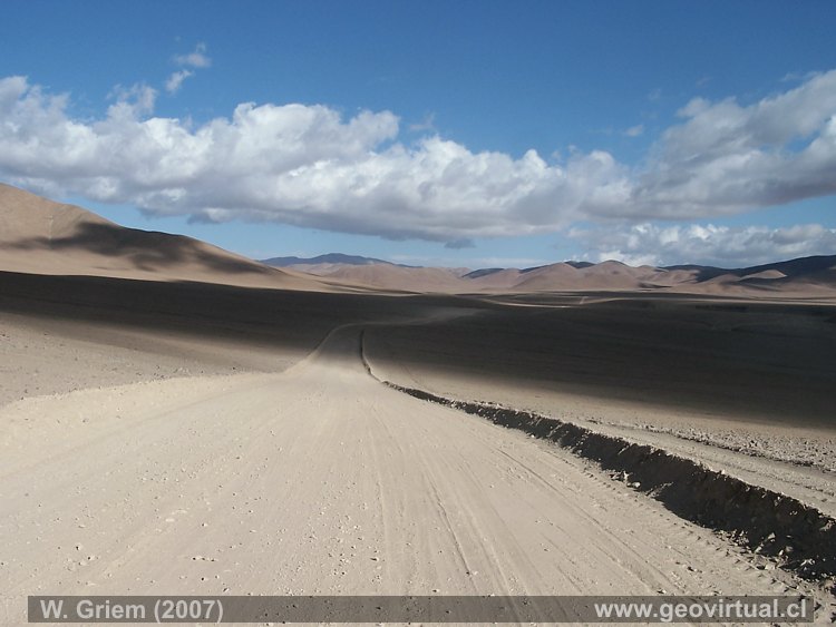 Qda. Guamanga: Entre Inca de Oro y Manto Verde en pleno desierto de Atacama, Chile