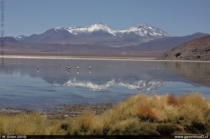 Die Santa Rosa Lagune in den Anden der Atacama Region, Chile