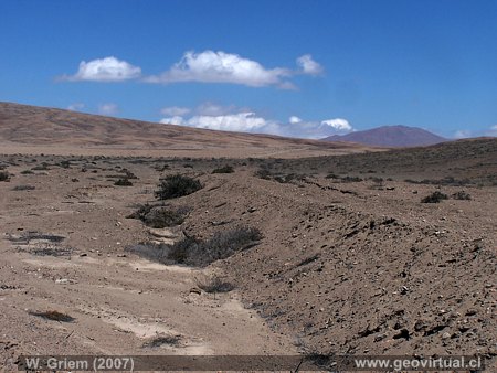 Atacama - Chile: Terraplen del hist�rico trayecto FFCC Las Animas - Manto Verde