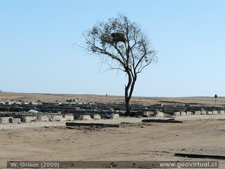 estaci�n barros Luco en Atacama, Chile