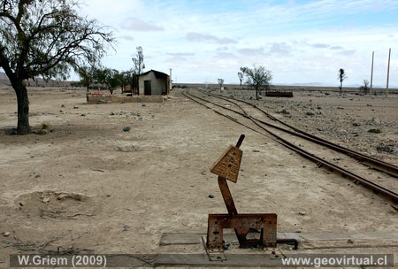 Estaci�n Algarrobal, Atacama - Chile