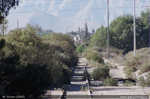 FFCC Atacama: Trayecto cerca Paipote
