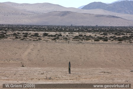 Foto: Restos de la l�nea telegr�fica en el desierto Atacama, Chile.