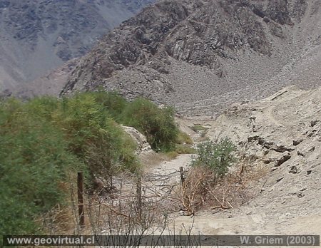 Corte del ex ferrocarril a Los Loros - Valle Copiap� (Atacama, Chile)