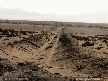 Camino que conduce a la mina Restauradora 8Regi�n Atacama, Chile).