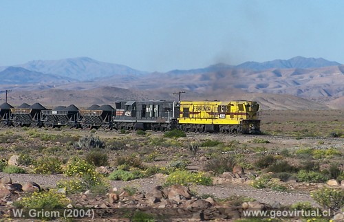 Tren en el desierto florido entre Vallenar y Copiap�