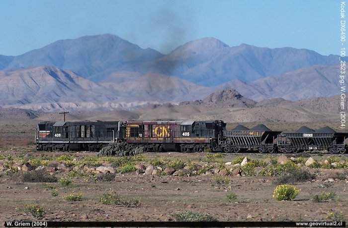 Tren en el desierto florido entre Vallenar y Copiapó