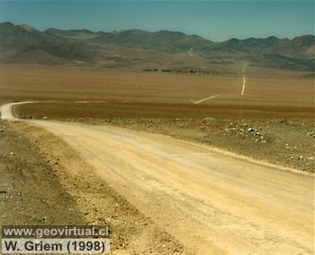Camino del Inca cerca Inca de Oro (Regi�n Atacama, Chile)