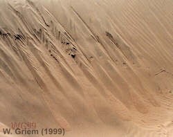 Mud flows en dunas (Regi�n Atacama)