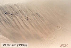 Mud flows en dunas (Región Atacama)