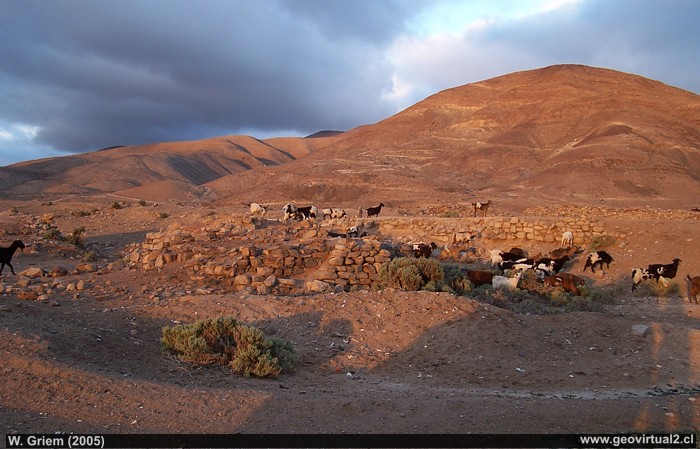Chañarcillo in der Abendsonne in der Atacamawüste