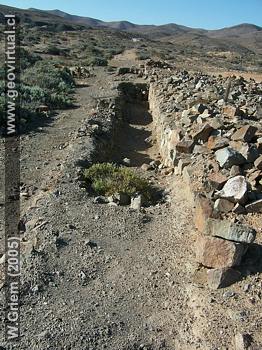 Calle en Carrizal Alto (Regi�n Atacama / Chile)