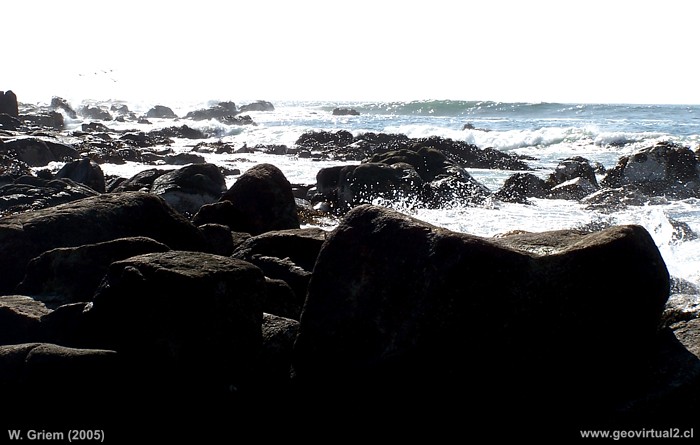 Flamenco, Region de Atacama - Chile