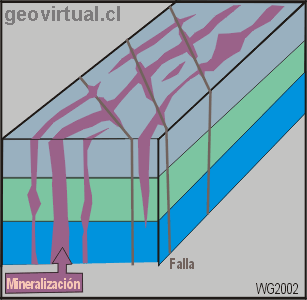 Dep�sito vetiforme- estructura interna