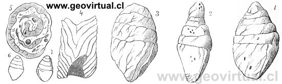 coprolitos, publicados por Burmeister, 1851