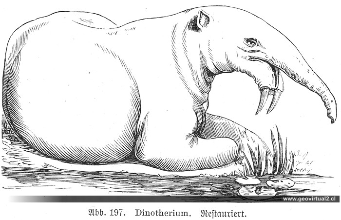 Reconstrucción del Dinotherium