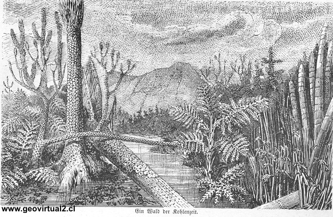 Retrato de la �poca carbon�fera seg�n Lippert 1878