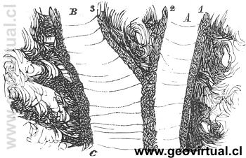 Glaciar de Rudolph Ludwig (1861)