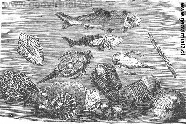 Rudolph Ludwig: Reconstrucci�n del paleozoico