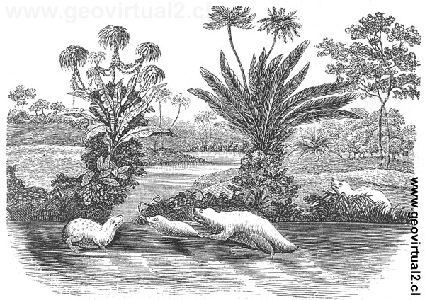 Rudolph Ludwig (1861) - Paisaje ideal del tri�sico