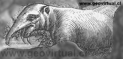 Dinotherium o Deinotherium "en vivo" seg�n Rudolph Ludwig (1861)