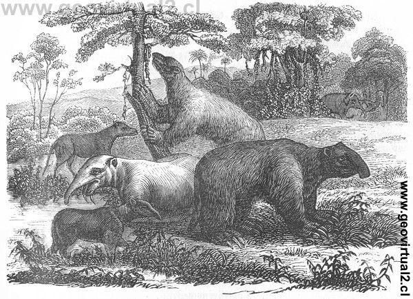 Rudolph Ludwig: La �poca de la molassa (cenozoico)