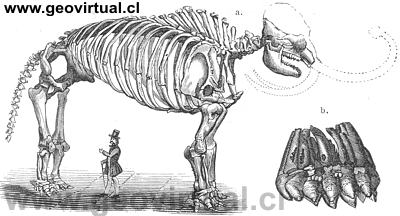 Mastodon de Rudolph Ludwig (1861)