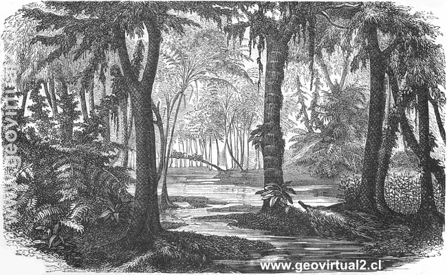 Rudolph Ludwig (1861) - Paisaje ideal de  la �poca de la grauwacka;