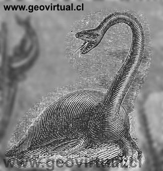 Retrato del Plesiosaurus (Rudolph Ludwig, 1861)