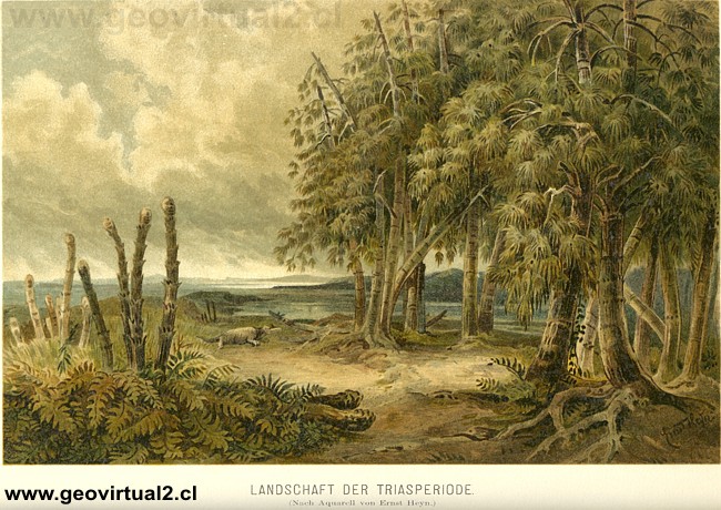 Paisaje del tri�sico (Ernst Heyn en Neumayr, 1897)