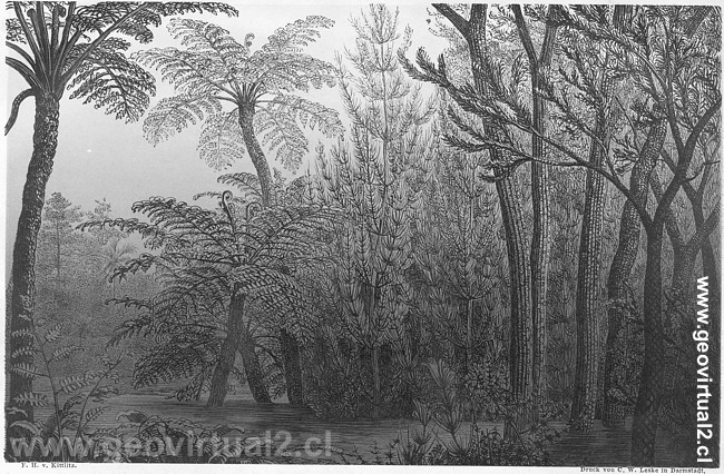 Reconstrucci�n de la vida durante el carbon�fero - Rossm�ssler, 1863