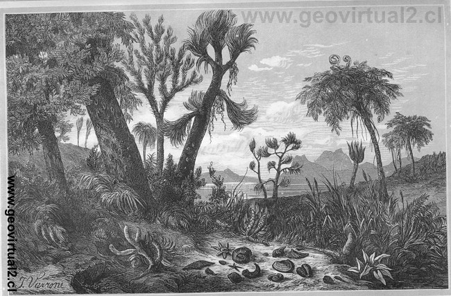 Paisaje durante la �poca carbon�fera de Siegmund, 1877