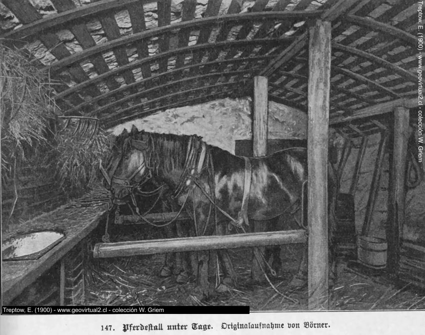 Pferdestall unter Tage (E. Treptow, 1900)