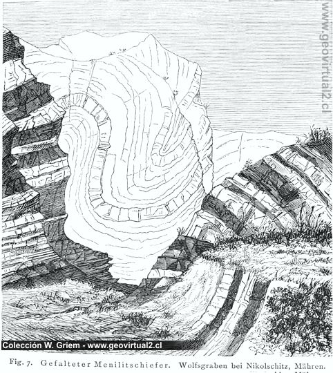 Pliegues - Suess 1875