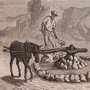 pictograma - miner�a