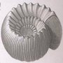 historia de las geociencias: Paleontolog�a