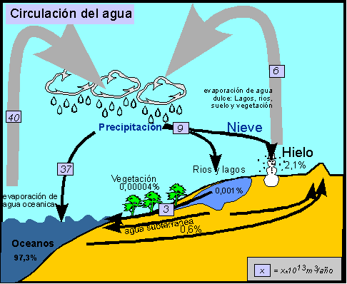 Ciclo del agua