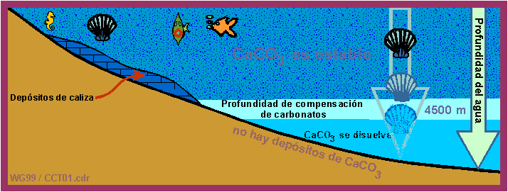 Profundidad de compensaci�n de los carbonatos