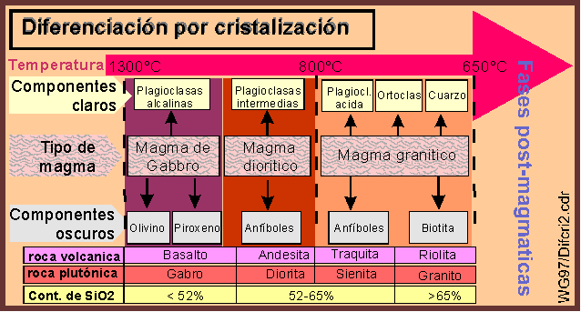 Diferenciaci�n