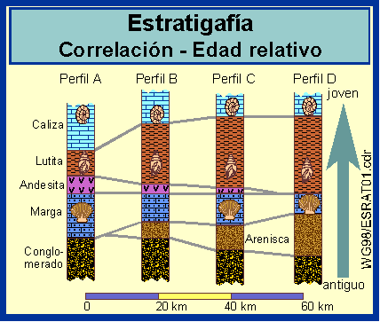 Resultado de imagen de correlaciones estratigráficas