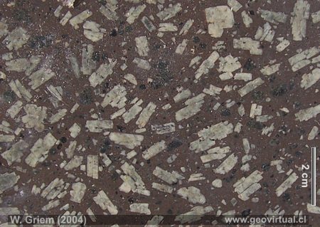 Andesita de la Precordillera, Chile, Regi�n  Atacama