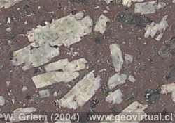 Textura porf�dica en Andesita (Regi�n Atacama, Chile)