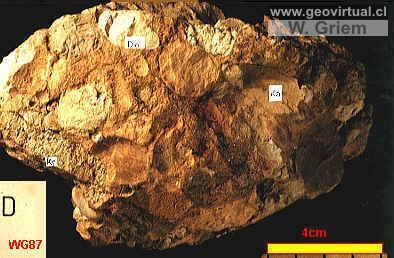 Conglomerado (Sattnitzkonglomerat, Austria)