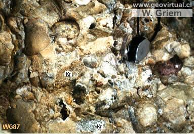 Conglomerado (Sattnitzkonglomerat, Austria)