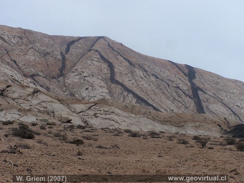 Diques m�ficos en la cercan�a de Cha�aral (Regi�n Atacama, Chile)