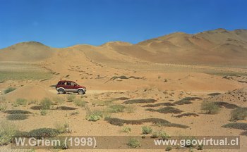 Duna Longitudinal (Regi�n Atacama, Chile) 
